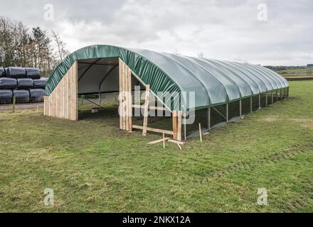 Installation eines einspaltigen Tierpolytunnels in Back Lane, Long Preston, North Yorkshire zum Lammen von Mutterschafen in einer trockeneren und wärmeren Umgebung Stockfoto