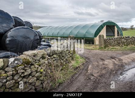 Installation eines einspaltigen Tierpolytunnels in Back Lane, Long Preston, North Yorkshire zum Lammen von Mutterschafen in einer trockeneren und wärmeren Umgebung Stockfoto