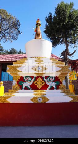 Blick auf Gompa im Inneren des buddhistischen Klosters Nyingmapa, Manali, Himachal Pradesh, Indien Stockfoto