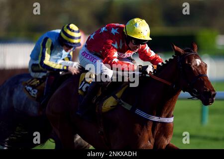 Aktenfoto von 12-11-2022, Drehbuchautor geritten von Jockey Paddy Brennan. Der Drehbuchautor könnte seinen Platz als führendes JCB Triumph Hürde Hope in der Coral Adonis Juvenile Hürde in Kempton festigen. Ausgabedatum: Freitag, 24. Februar 2023. Stockfoto