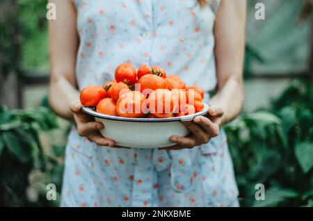 Eine Frau mit einer Schüssel frischer Tomaten Stockfoto