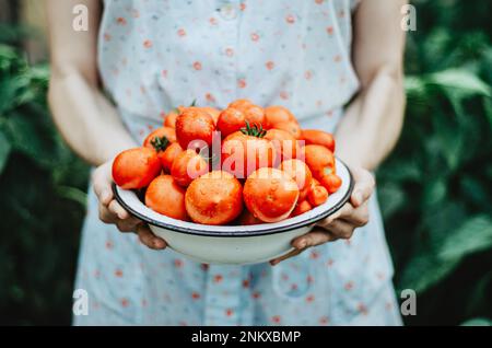 Nahaufnahme einer Frau mit einer Schüssel frischer Tomaten Stockfoto