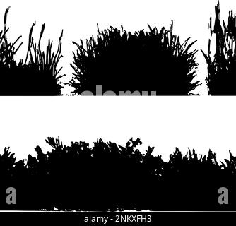 Vektorsilhouette Verschiedener Grasarten, Getrennt Auf Weißem Hintergrund. Handgefertigte Vektorkunst. Stock Vektor