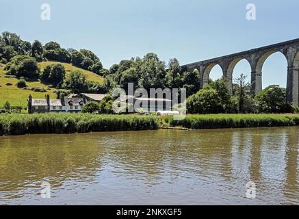 Das Viadukt der Tamar Valley Railway in Calstock überquert den Fluss Tamar. Unter dem Viadukt ein Hof am Devon-Ufer des Flusses. Der Fluss bildet sich Stockfoto