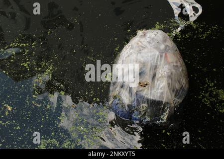 Eine ganze durchsichtige Plastiktüte mit Müll schwimmt im Regent's Canal mit Algenwachstum in der Nähe von Camden Lock Stockfoto