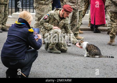 London, Großbritannien, 24. Februar 2023. Ein Soldat füttert Larry, und die Frau des Botschafters macht ein paar Fotos. Larry, die Katze in der Downing Street, tritt nach der Veranstaltung auf und wird von den ukrainischen Soldaten gekuschelt und gestreichelt. Rishi Sunak, Premierminister des Vereinigten Königreichs, hält mit seiner Frau Akashta eine Schweigeminute anlässlich des einjährigen Jahrestags der russischen Invasion der Ukraine. Der Premierminister wird außerhalb der Downing Street 10 von dem ukrainischen Botschafter im Vereinigten Königreich, Mitgliedern der ukrainischen Streitkräfte und Vertretern jeder Interflex-Nation sowie ukrainischen Sängern besucht. Stockfoto