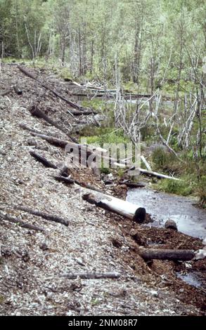 1970er Vereinigte Staaten: Austritt von Rinde- und Chemikalienabfällen in den verschmutzten Nebenfluss der St. Croix River. Dieser Abfall von der Georgia Pacific Paper co. Ist auf dem Eigentum von Charles Towne, einem der Kläger in einer Klage gegen die Firma Ca. 1973 Stockfoto