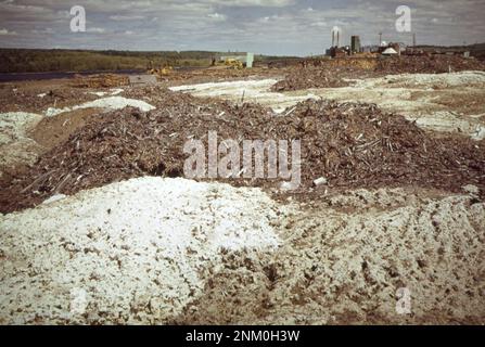 1970er Vereinigte Staaten: Rindenabfälle und chemische Abfälle aus dem Georgia Pacific Paper CO, die entlang der St. Croix River. Die Papierfabrik befindet sich im Hintergrund. 1973 Stockfoto