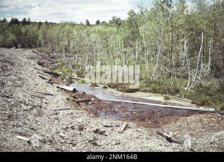 1970er Vereinigte Staaten: Rindenabfälle der Georgia Pacific Paper co Am Ufer eines verschmutzten Nebenflusses der St. Croix River. Einst ein frei fließender Fischbach, ist er jetzt erstickt, stagniert und verschmutzt ca. 1973 Stockfoto