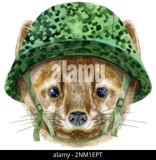 Kleiner, lustiger, brauner Zobel in militärischem taktischem Helm, isoliertes Bild, Aquarell-Illustration Stockfoto