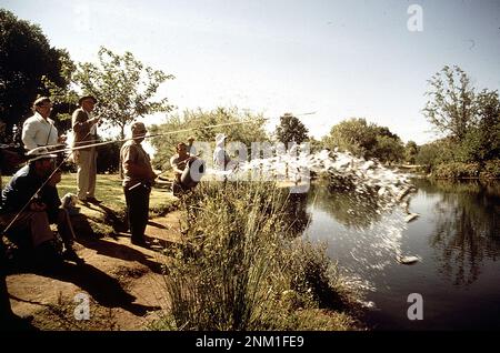 1970er Vereinigte Staaten: Ein Park-Ranger, der Fische und Männer beim Fischen in Merced River Ca. 1972 Stockfoto