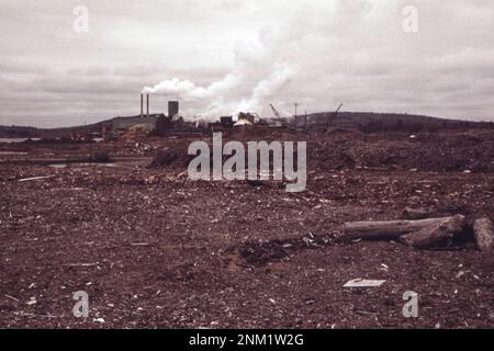 1970er USA: Papierfabrik der Georgia Pacific Paper Company auf der St. Croix River in Woodland. Rinde im Vordergrund ca. 1973 Stockfoto