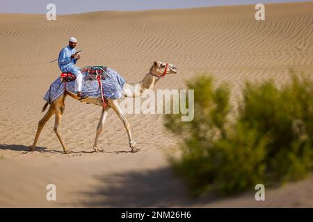 Tilal Swaihan, Abu Dhabi - 24./02./2023, Kamel, Landschaft während des Vorbereitungstests der Abu Dhabi Desert Challenge 2023, 2. Runde der Saison 2023 W2RC, vom 24. Bis 25. Februar 2023 in Tilal Swaihan, Abu Dhabi - Photo Julien Delfosse / DPPI Stockfoto