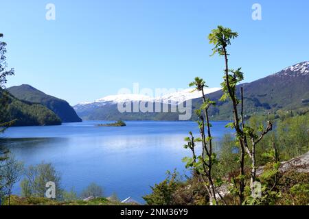 Sorfjorden, (Sørfjorden) ein 38 km langer Seitenfjord zum Hardangerfjord in Norwegen Stockfoto