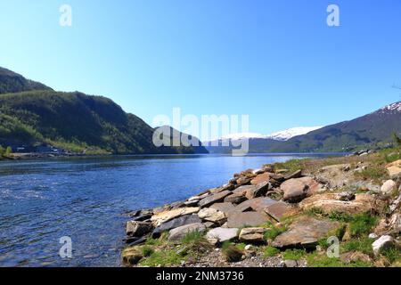 Sorfjorden, (Sørfjorden) ein 38 km langer Seitenfjord zum Hardangerfjord in Norwegen Stockfoto