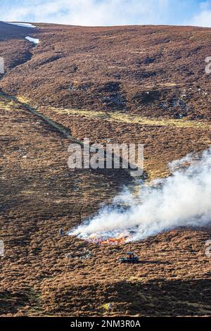 Das kontrollierte Verbrennen von Heidemoorland (Segel- oder Muirburn-Gebiet) an den Hängen von Sgor Mor südlich von Braemar, Aberdeenshire, Schottland, Vereinigtes Königreich Stockfoto