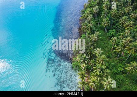 Über dem wunderschönen tropischen Meer mit Palmenwald auf Koh Kood Island Stockfoto