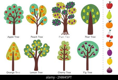 Doodle Fruit Trees Kollektion. Verschiedene Bäume mit Apfel-, Orangen- und anderen Bäumen Stock Vektor