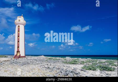 Der Leuchtturm von Willemstoren am felsigen Strand von Klein Bonaire Stockfoto