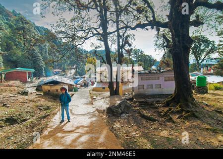 Chopta, Uttarakhand, Indien - 1. November 2018 : Indische Alleinreisende Trekking auf der Tungnath Trekking Route, einem der höchsten Shiva-Tempel. Stockfoto