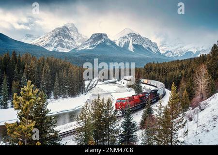 Aussichtspunkt der Morants Curve im Banff National Park, Alberta, Canad, mit dem berühmten roten Frachtzug, der im Winter durch das Bugtal und die felsigen Berge fährt Stockfoto