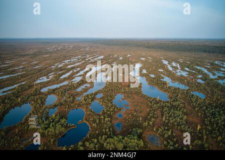 Ein Drohnenfoto von ausgedehnten Sommersumpfen mit gewundenen Bächen, hohem Schilf und Gräsern sowie grünen und braunen Feuchtgebieten. Das natürliche, ruhige Natu einfangen Stockfoto