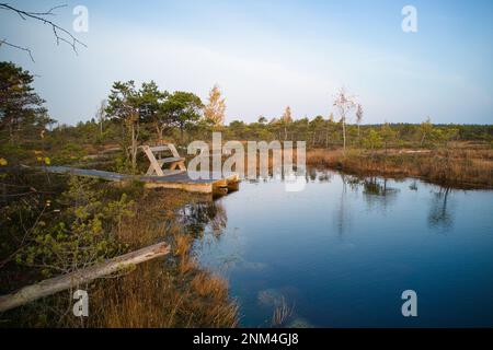 Ein Drohnenfoto von ausgedehnten Sommersumpfen mit gewundenen Bächen, hohem Schilf und Gräsern sowie grünen und braunen Feuchtgebieten. Das natürliche, ruhige Natu einfangen Stockfoto