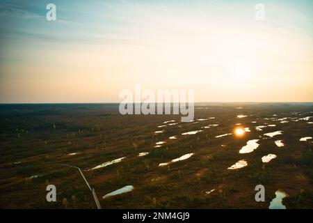 Ein Drohnenfoto von ausgedehnten Sommersumpfen mit gewundenen Bächen, hohem Schilf und Gräsern sowie grünen und braunen Feuchtgebieten. Das natürliche, ruhige Natu einfangen Stockfoto