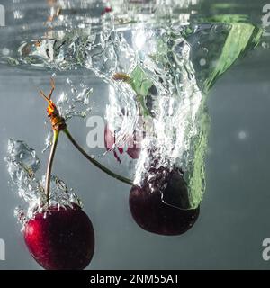 Reife Kirschen fallen ins Wasser und verursachen Spritzer und Luftblasen Stockfoto