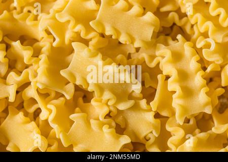 Trockene organische Mafalda Corta Nudelgerichte, fertig zum Kochen Stockfoto