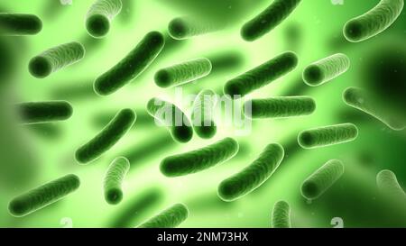 Bakterien. Bakterium. Grüne Farbe. Prokaryotische Mikroorganismen. 3D Abbildung. Stockfoto