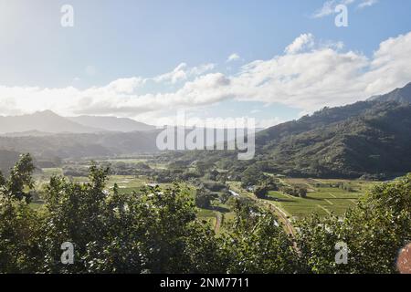 Helle Sonne über landwirtschaftlichen Feldern in der Nähe von Hanalei, Hawaii, mit Bergen im Hintergrund Stockfoto