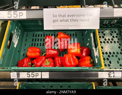 © Jeff Moore 24/02/2023 Leere Regale in einem East London Tesco Supermarkt. Essensmangel aufgrund schlechter Witterungsbedingungen. Stockfoto