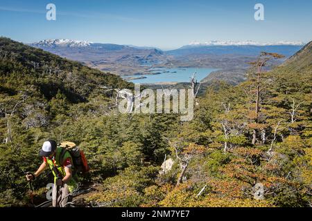 Wanderer Wandern im Valle del Francés, in der Nähe von Mirador Francés, Torres del Paine Nationalpark, Patagonien, Chile Stockfoto