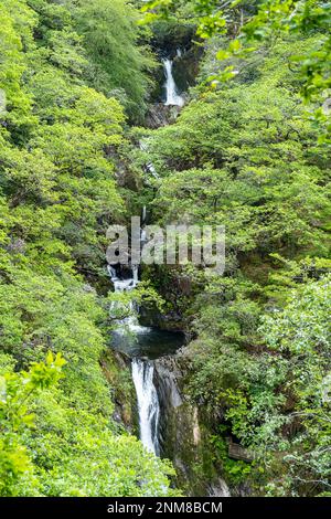 Mynach fällt, Devil's Bridge, langer Weg, Pontarfynach, Wales Stockfoto