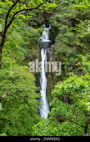 Mynach fällt, Devil's Bridge, langer Weg, Pontarfynach, Wales Stockfoto