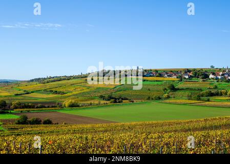 Zellertal in der Region Rheinland-Hessen (Worms/Deutschland) Stockfoto