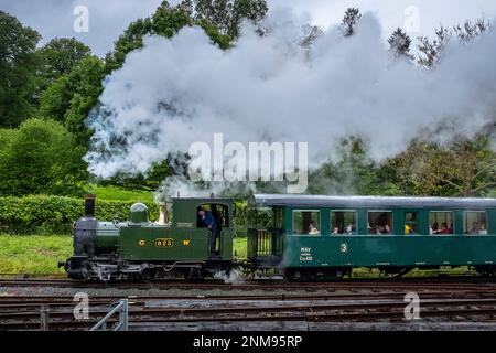 Llanfair und Welshpool Steam Railway, Wales Stockfoto