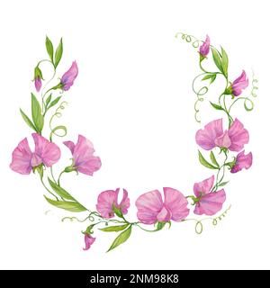 Kranz aus süßen Erbsen, Aquarell-Illustration, liebe rosa Blumen Stockfoto