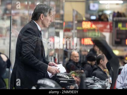 Iserlohn, Deutschland. 24. Februar 2023. Eishockey: DEL, Iserlohn Roosters - Kölner Haie, Hauptrunde, 46. Spieltag, Eissporthalle Iserlohn: Trainer Uwe Krupp der Haie folgt dem Spiel. Kredit: Bernd Thissen/dpa/Alamy Live News Stockfoto