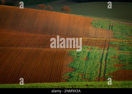 Ein wunderbarer Morgen auf den mährischen Feldern im Herbst. Schöne Farben. Tschechische republik Stockfoto