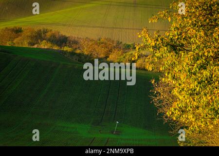 Ein wunderbarer Morgen auf den mährischen Feldern im Herbst. Schöne Farben. Tschechische republik Stockfoto