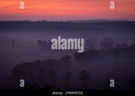 Wunderschöne mährische Felder mit Alleen von Bäumen, die von Morgennebel umgeben sind. Tschechische republik Stockfoto