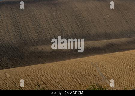 Wunderschöne raue Landschaft mit gepflügten mährischen Feldern in der Herbstsaison. Tschechische republik Stockfoto