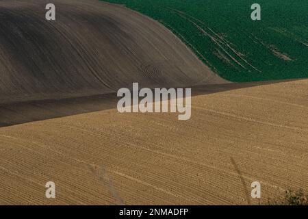 Wunderschöne raue Landschaft mit gepflügten mährischen Feldern in der Herbstsaison. Tschechische republik Stockfoto