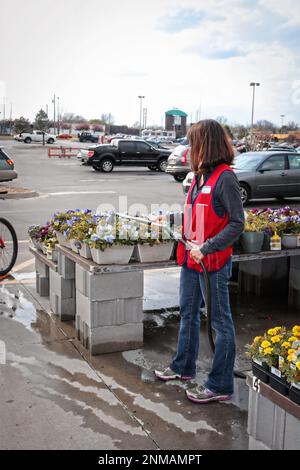 Angestellte in Weste Wasser Blumen mit einem Wunsch, die auf Tischen aus Betonblöcken aufgestellt werden, wo sie vor einem Ladenparkplatz verkauft werden Stockfoto