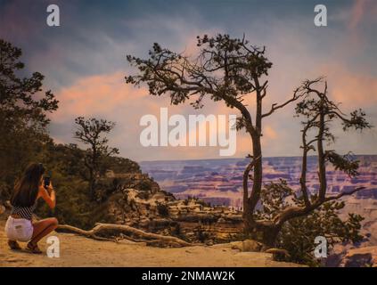 Grand Canyon USA eine junge Frau mit langen Haaren und kurzen Hosen macht zur goldenen Stunde ein Telefonfoto vom Canyon – kleine Touristen in der Ferne und dramatische Bäume Stockfoto