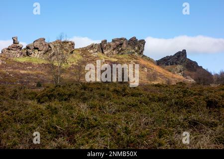 Ramshaw Rocks am Anfang der Kakerlaken-Reihe in den Hügeln des Staffordshire Moorlands Peak District Stockfoto