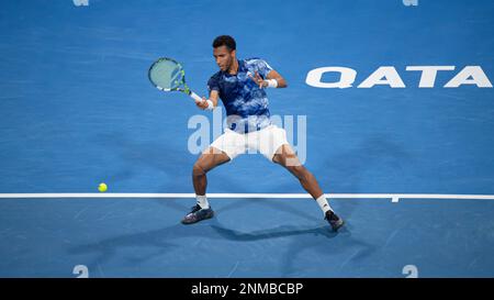 Daniil Medvedev gegen Felix Auger Aliassime aus Kanada während des Halbfinalspiels des ATP 250 ExxonMobil Open Tennis Tournament 2023 im Khalifa International Tennis Complex am 24. Februar 2023 in Doha, Katar. Foto: Victor Fraile / Power Sport Images Credit: Power Sport Images Ltd/Alamy Live News Stockfoto