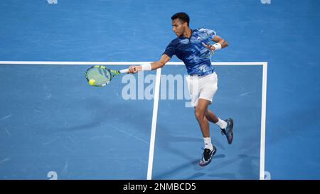 Daniil Medvedev gegen Felix Auger Aliassime aus Kanada während des Halbfinalspiels des ATP 250 ExxonMobil Open Tennis Tournament 2023 im Khalifa International Tennis Complex am 24. Februar 2023 in Doha, Katar. Foto: Victor Fraile / Power Sport Images Credit: Power Sport Images Ltd/Alamy Live News Stockfoto